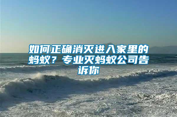 如何正確消滅進(jìn)入家里的螞蟻？專(zhuān)業(yè)滅螞蟻公司告訴你