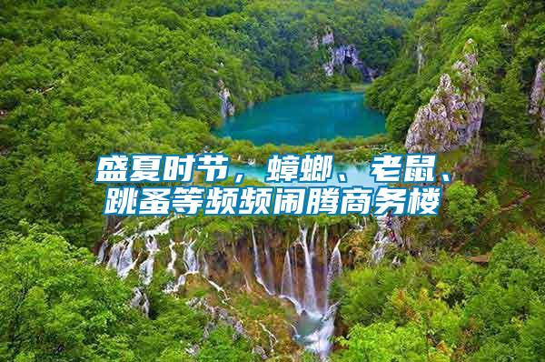 盛夏時節(jié)，蟑螂、老鼠、跳蚤等頻頻鬧騰商務(wù)樓