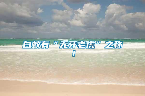 白蟻有“無牙老虎”之稱！