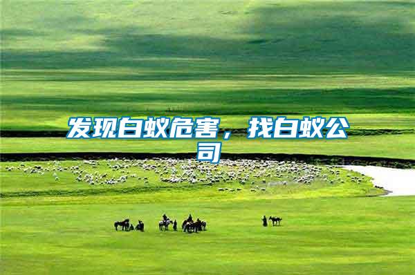 發(fā)現(xiàn)白蟻危害，找白蟻公司