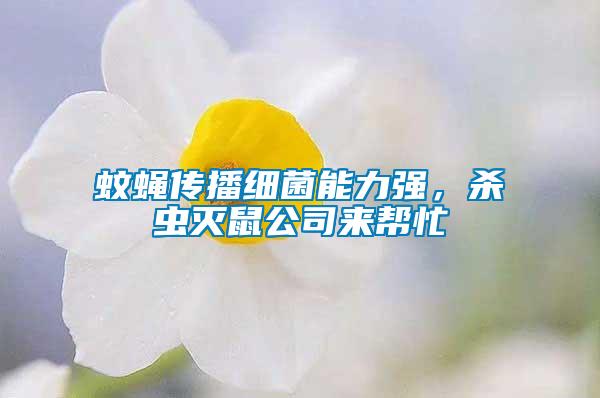 蚊蠅傳播細(xì)菌能力強(qiáng)，殺蟲滅鼠公司來幫忙
