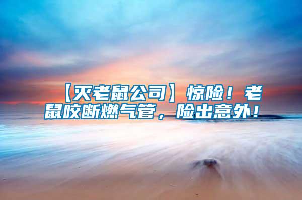 【滅老鼠公司】驚險(xiǎn)！老鼠咬斷燃?xì)夤?，險(xiǎn)出意外！