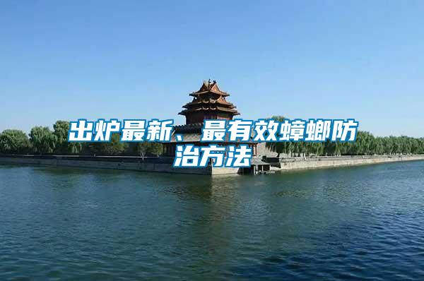 出爐最新、最有效蟑螂防治方法