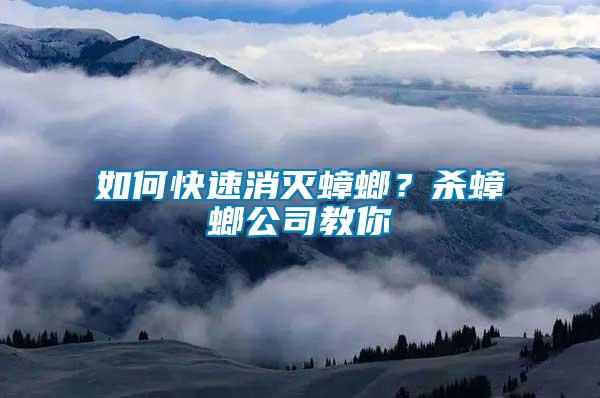 如何快速消滅蟑螂？殺蟑螂公司教你