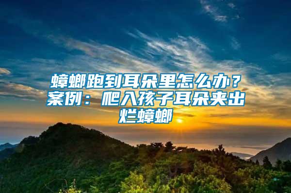 蟑螂跑到耳朵里怎么辦？案例：爬入孩子耳朵夾出爛蟑螂