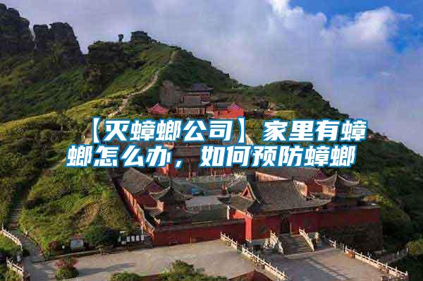 【滅蟑螂公司】家里有蟑螂怎么辦，如何預(yù)防蟑螂