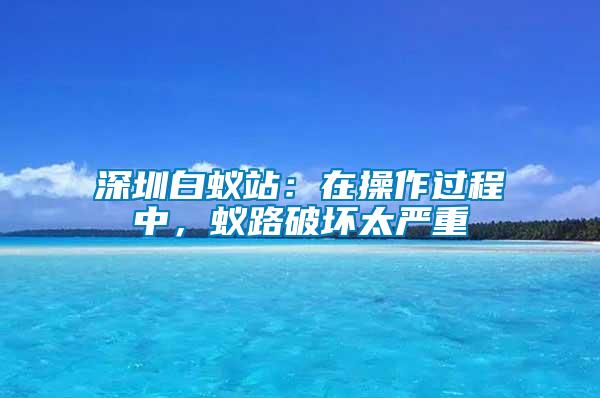深圳白蟻站：在操作過(guò)程中，蟻路破壞太嚴(yán)重