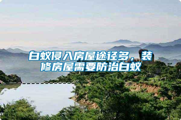 白蟻侵入房屋途徑多，裝修房屋需要防治白蟻