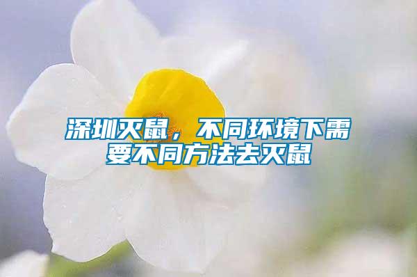 深圳滅鼠，不同環(huán)境下需要不同方法去滅鼠