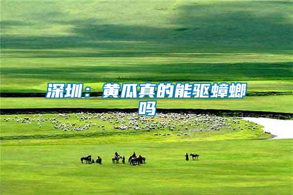 深圳:黃瓜真的能驅(qū)蟑螂嗎