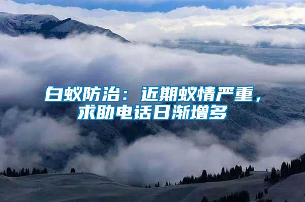 白蟻防治：近期蟻情嚴(yán)重，求助電話(huà)日漸增多