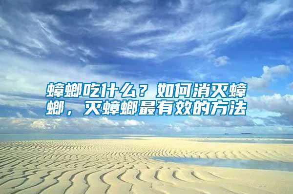 蟑螂吃什么？如何消滅蟑螂，滅蟑螂最有效的方法
