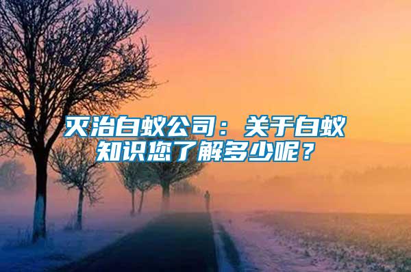 滅治白蟻公司：關(guān)于白蟻知識您了解多少呢？