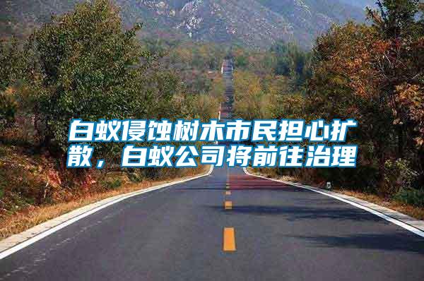 白蟻侵蝕樹木市民擔(dān)心擴散，白蟻公司將前往治理