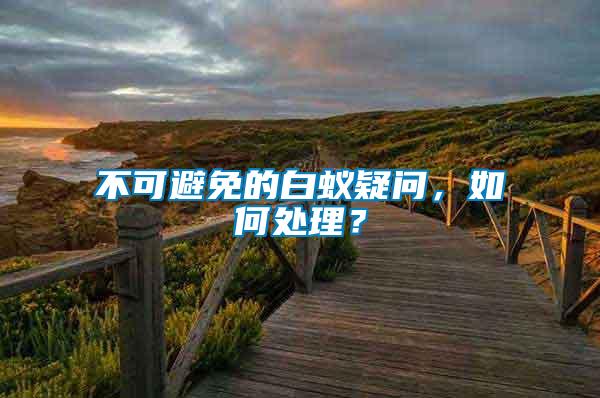 不可避免的白蟻疑問，如何處理？