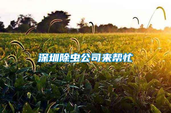 深圳除蟲公司來幫忙