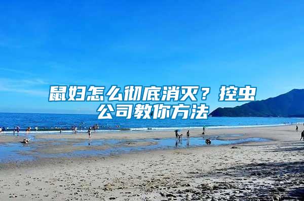 鼠婦怎么徹底消滅？控蟲公司教你方法