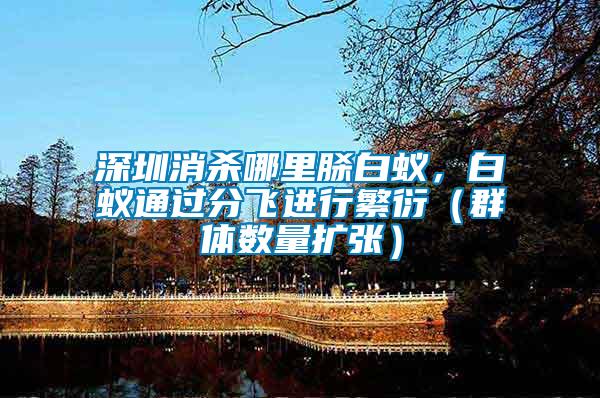 深圳消殺哪里脎白蟻,白蟻通過(guò)分飛進(jìn)行繁衍(群體數(shù)量擴(kuò)張)
