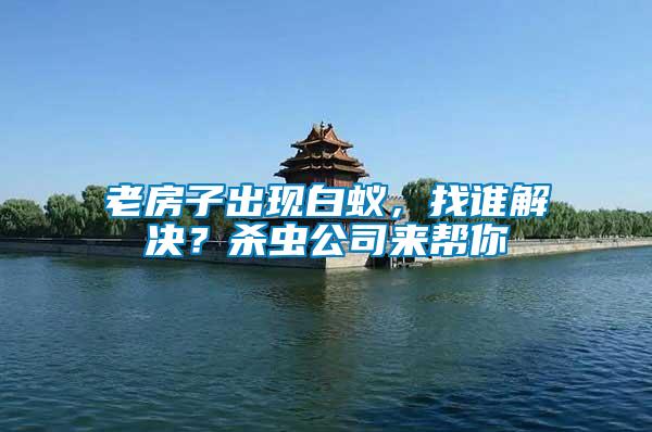 老房子出現(xiàn)白蟻，找誰解決？殺蟲公司來幫你