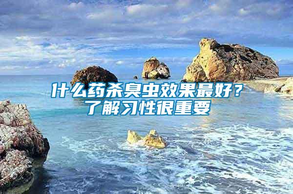 什么藥殺臭蟲效果最好？了解習(xí)性很重要