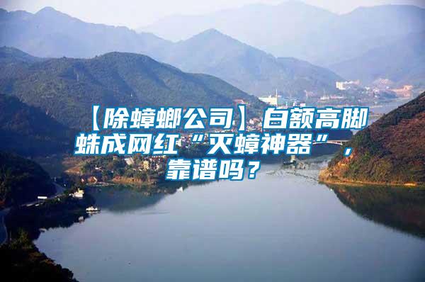 【除蟑螂公司】白額高腳蛛成網(wǎng)紅“滅蟑神器”，靠譜嗎？