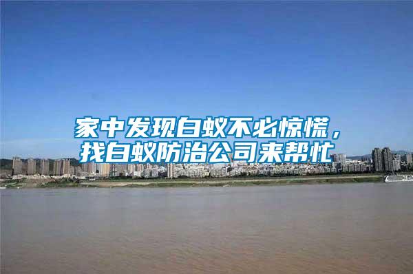 家中發(fā)現(xiàn)白蟻不必驚慌，找白蟻防治公司來幫忙