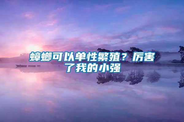 蟑螂可以單性繁殖？厲害了我的小強(qiáng)