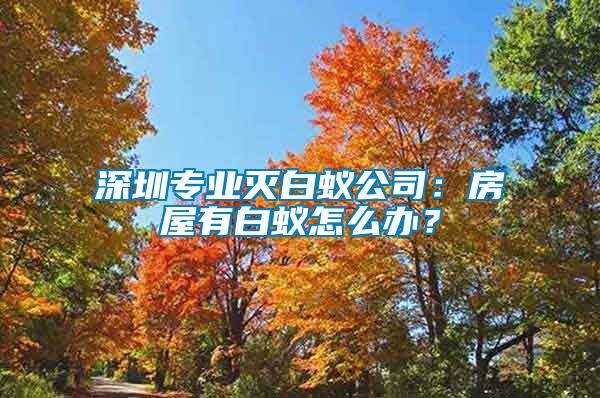 深圳專業(yè)滅白蟻公司：房屋有白蟻怎么辦？