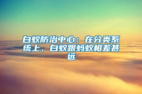 白蟻防治中心:在分類系統(tǒng)上,白蟻跟螞蟻相差甚遠(yuǎn)