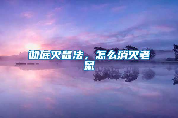 徹底滅鼠法，怎么消滅老鼠