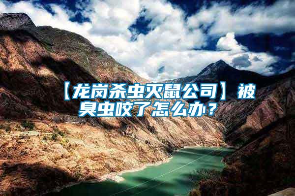 【龍崗殺蟲滅鼠公司】被臭蟲咬了怎么辦？