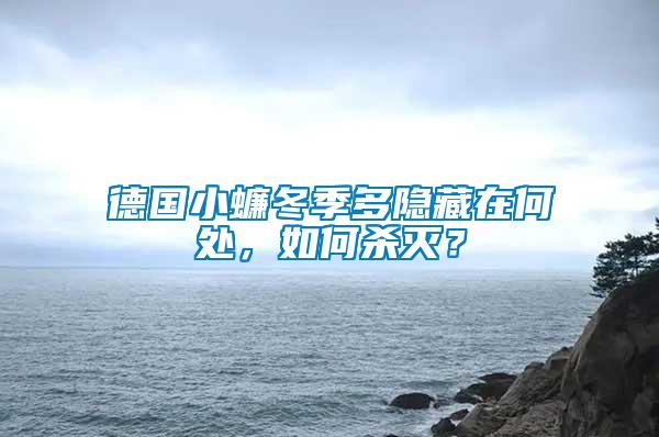 德國小蠊冬季多隱藏在何處，如何殺滅？