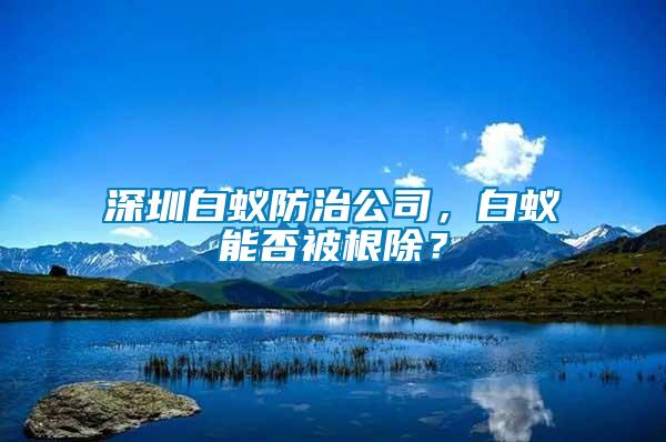 深圳白蟻防治公司，白蟻能否被根除？