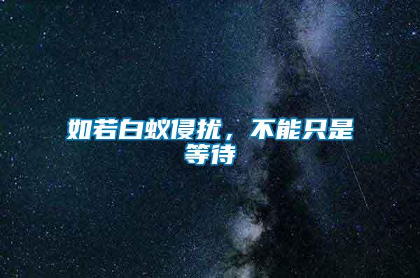 如若白蟻侵?jǐn)_，不能只是等待