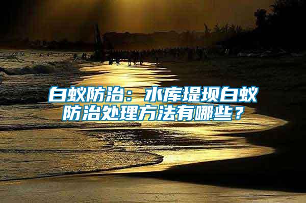 白蟻防治：水庫堤壩白蟻防治處理方法有哪些？