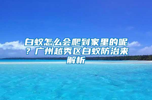 白蟻怎么會爬到家里的呢?廣州越秀區(qū)白蟻防治來解析