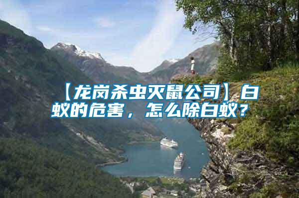 【龍崗殺蟲滅鼠公司】白蟻的危害，怎么除白蟻？