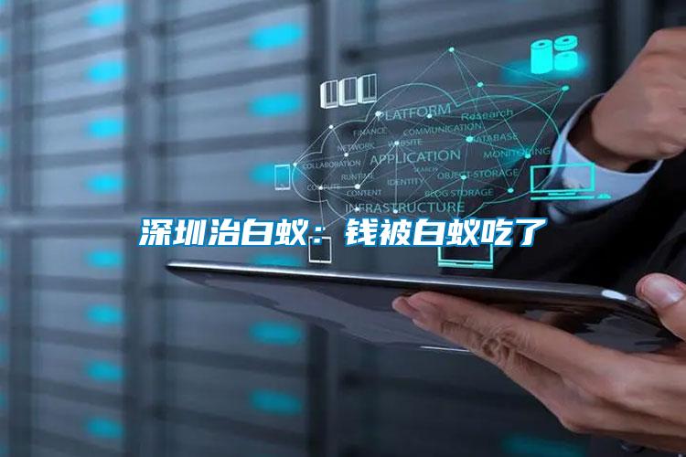 深圳治白蟻：錢(qián)被白蟻吃了