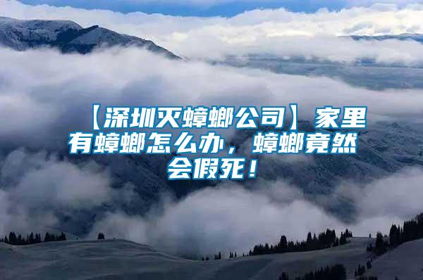 【深圳滅蟑螂公司】家里有蟑螂怎么辦，蟑螂竟然會假死！