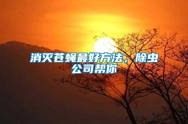 消滅蒼蠅最好方法,除蟲公司幫你
