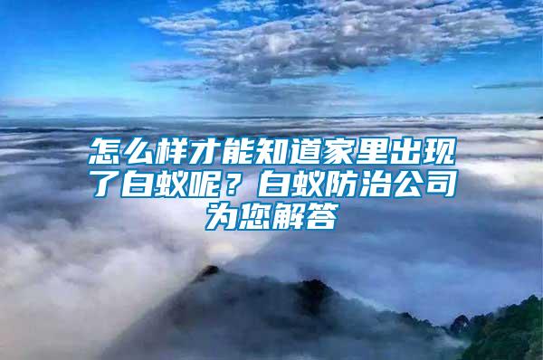 怎么樣才能知道家里出現(xiàn)了白蟻呢？白蟻防治公司為您解答