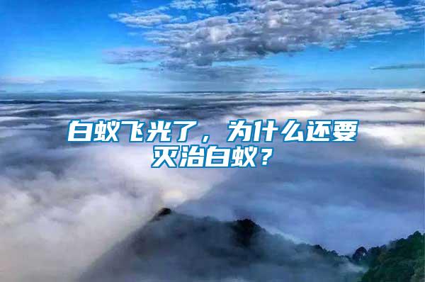 白蟻飛光了，為什么還要滅治白蟻？