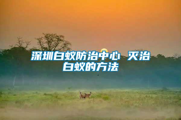 深圳白蟻防治中心 滅治白蟻的方法