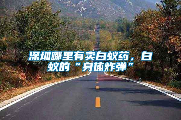 深圳哪里有賣白蟻藥，白蟻的“身體炸彈”