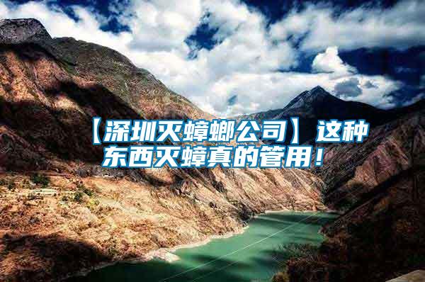 【深圳滅蟑螂公司】這種東西滅蟑真的管用！
