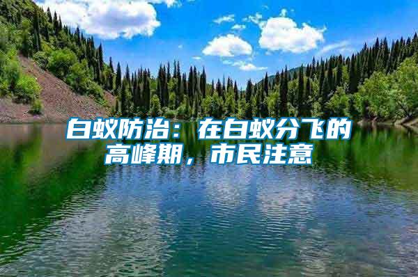 白蟻防治：在白蟻分飛的高峰期，市民注意