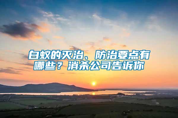 白蟻的滅治、防治要點(diǎn)有哪些？消殺公司告訴你