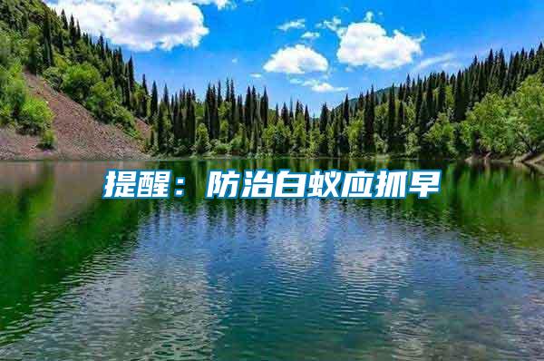 提醒:防治白蟻應抓早