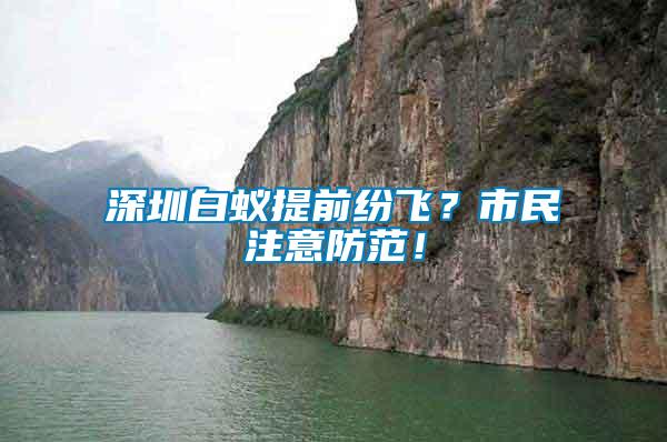 深圳白蟻提前紛飛？市民注意防范！