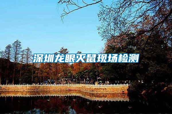 深圳龍眼滅鼠現(xiàn)場檢測(cè)